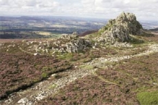 stiperstones-national-nature-reserve-1-230-230