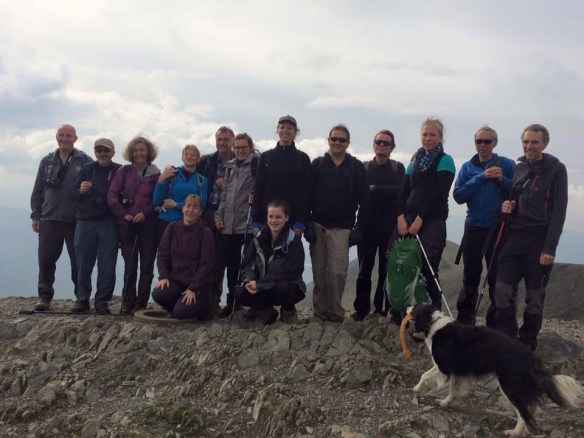 Halls Fell Ridge Group